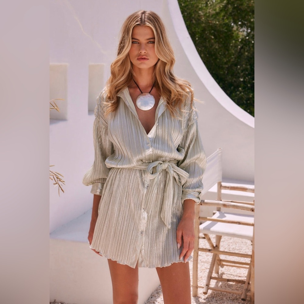 NWT 12th Tribe Champagne Plisse Mini Dress